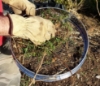 Picture of Practicool Garden Potting Mix Sieve - Stainless Steel Riddle - Soil sifting pan - with 8 Filter mesh Sizes - 2,3,4,6,7,9,11,12 mm and Bonus Spade
